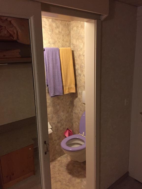 Roessli Apartment 阿尔卑纳赫施塔德 外观 照片
