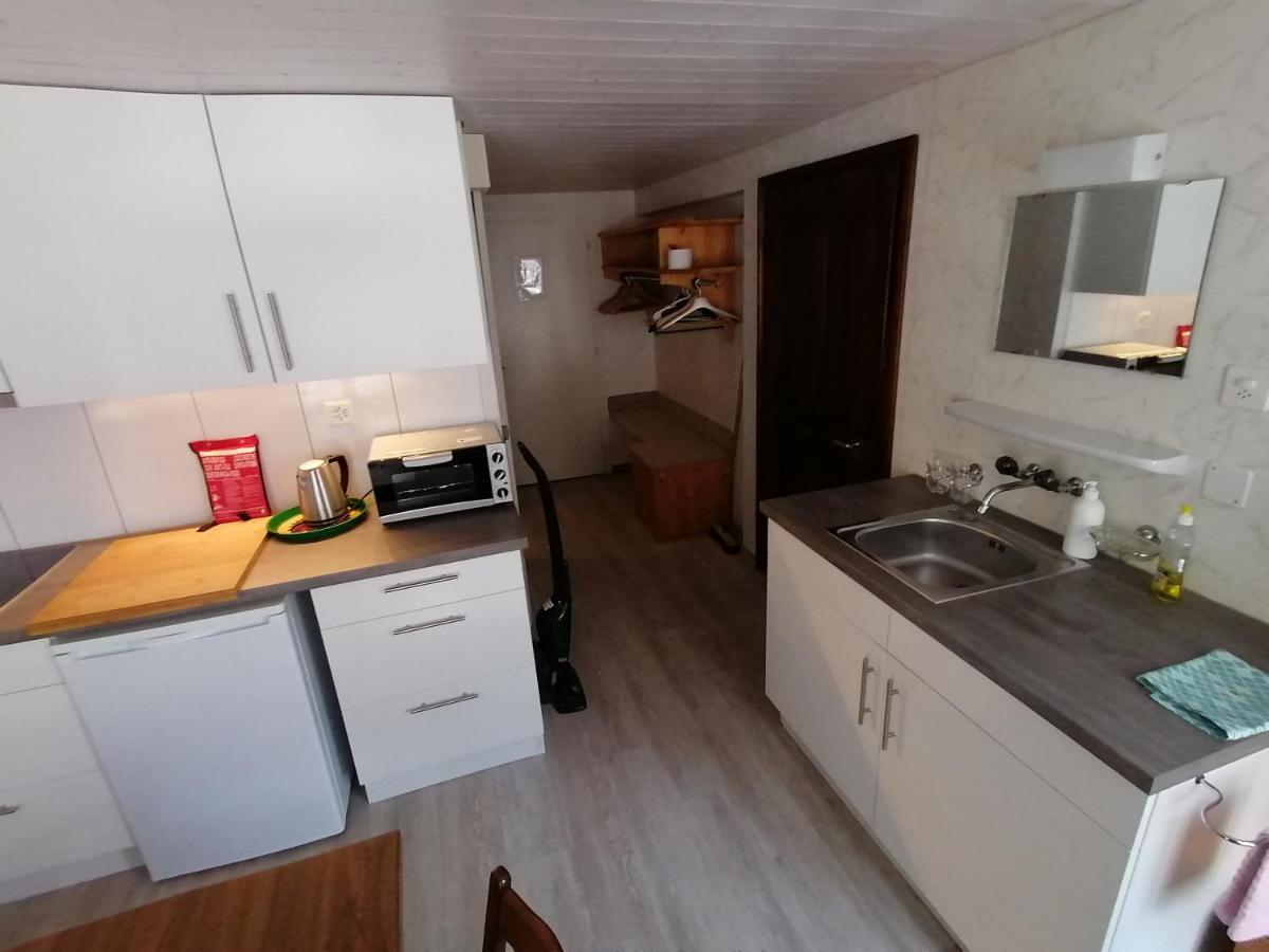 Roessli Apartment 阿尔卑纳赫施塔德 外观 照片